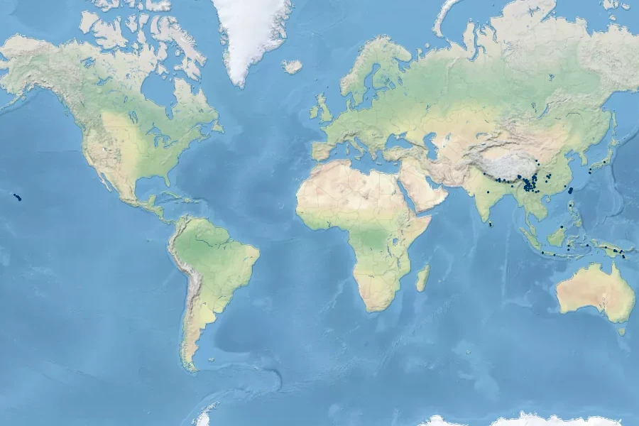 Dryopteris wallichiana Native Range