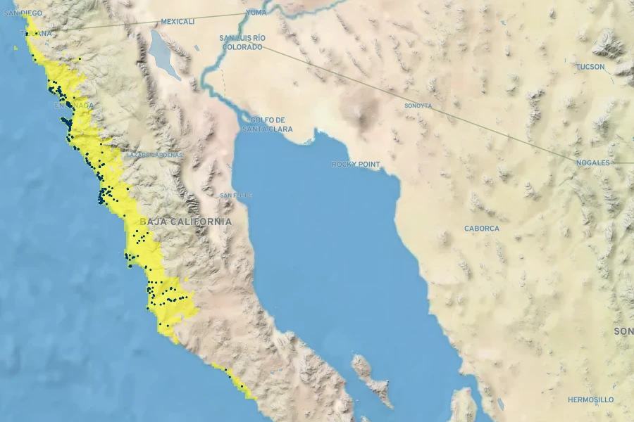 Dudleya attenuata Native Range
