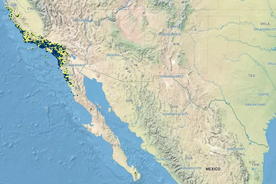Dudleya lanceolata Native Range