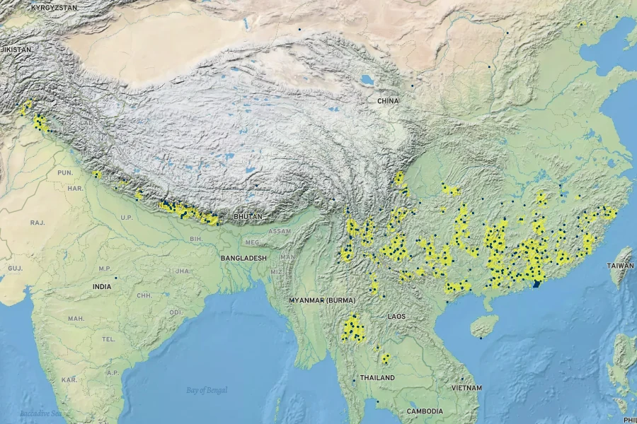 Duhaldea cappa Native Range