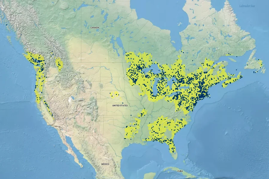 Dulichium arundinaceum Native Range