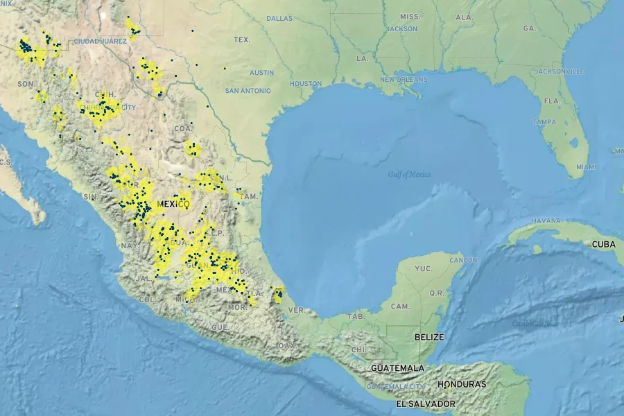 Dyschoriste decumbens Native Range