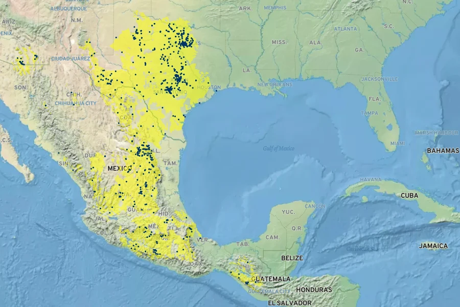 Dyschoriste linearis Native Range