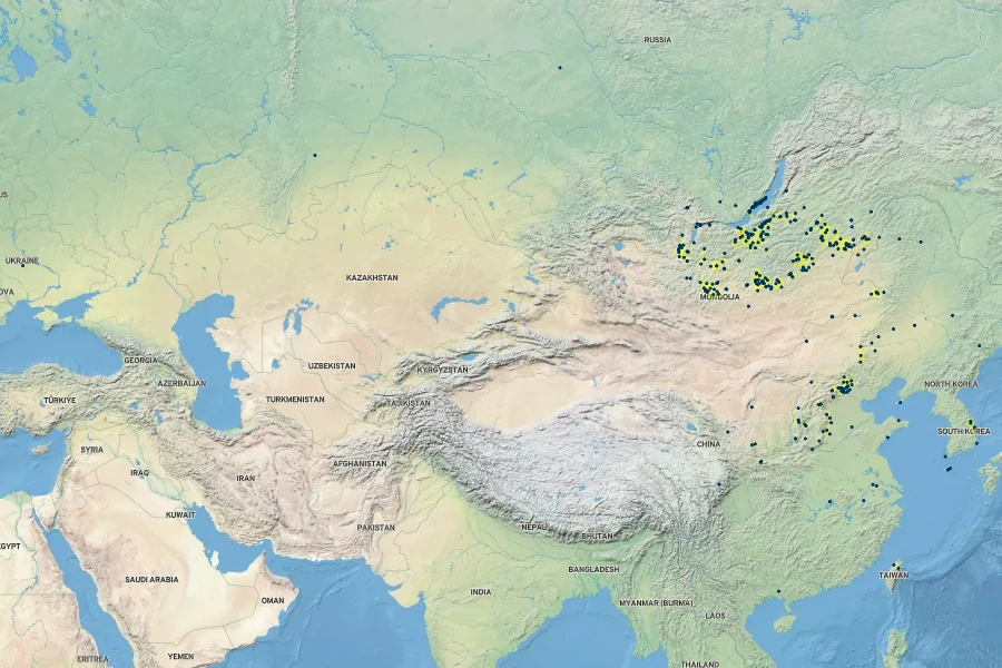 Echinops davuricus Native Range