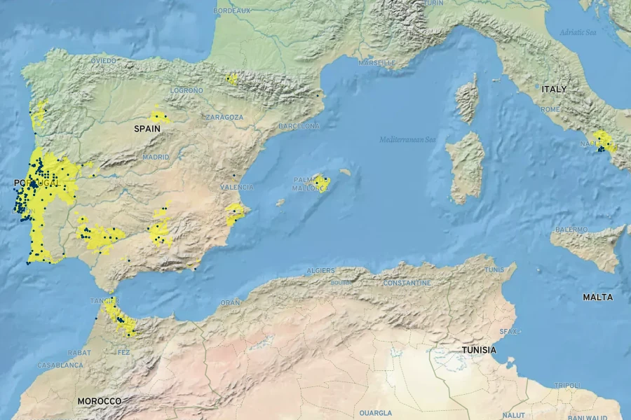 Echium tuberculatum Native Range