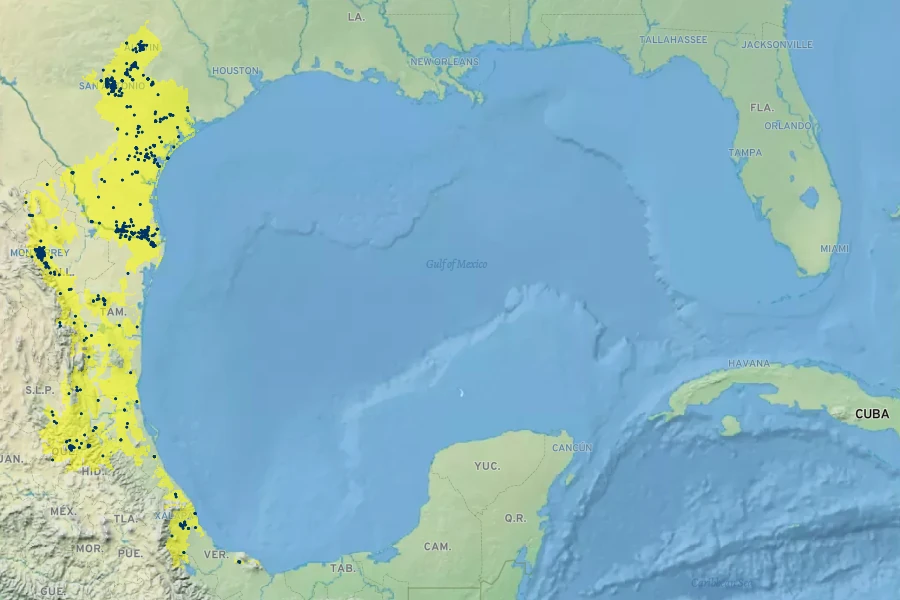 Ehretia anacua Native Range