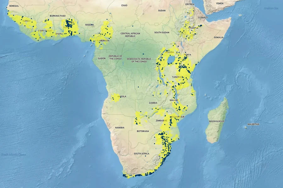 Ekebergia capensis Native Range