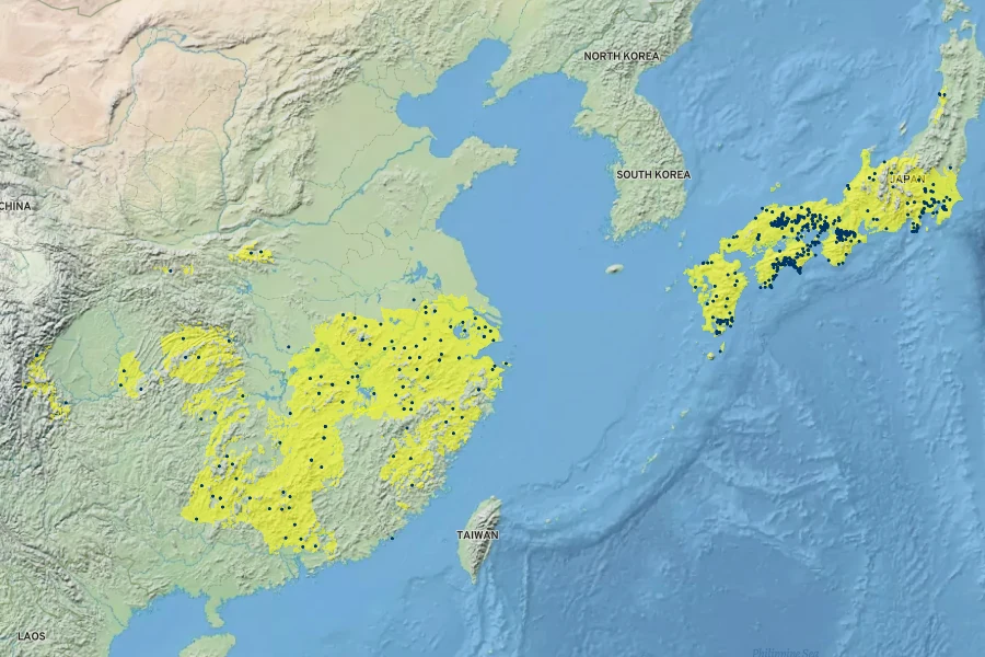 Elaeagnus pungens Native Range