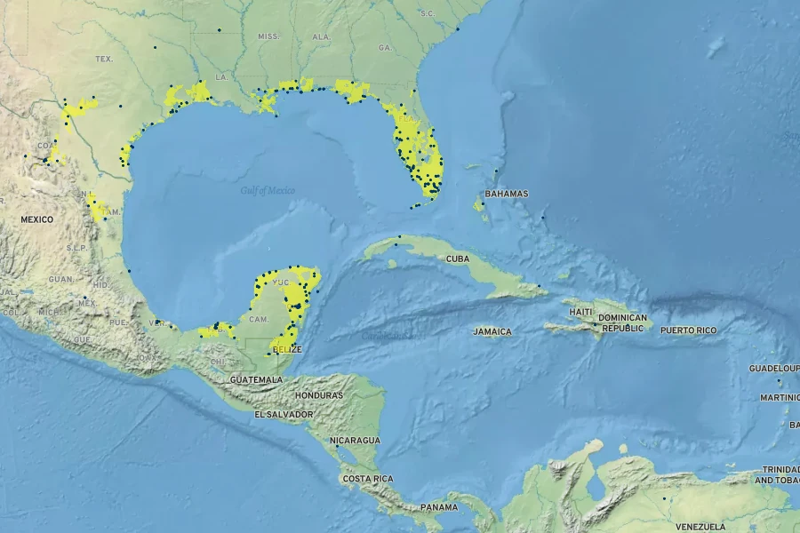Eleocharis cellulosa Native Range