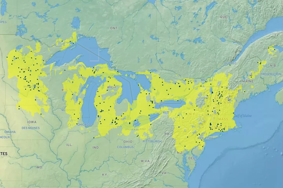 Eleocharis intermedia Native Range