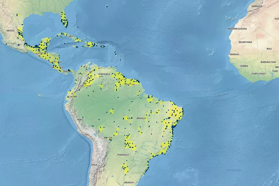 Eleocharis interstincta Native Range