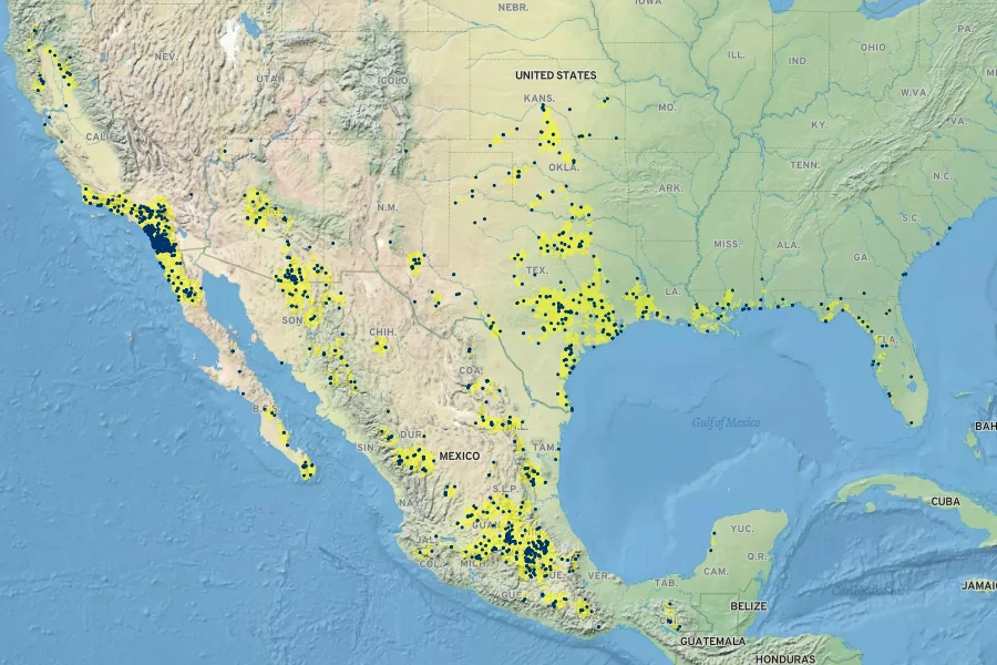 Eleocharis montevidensis Native Range