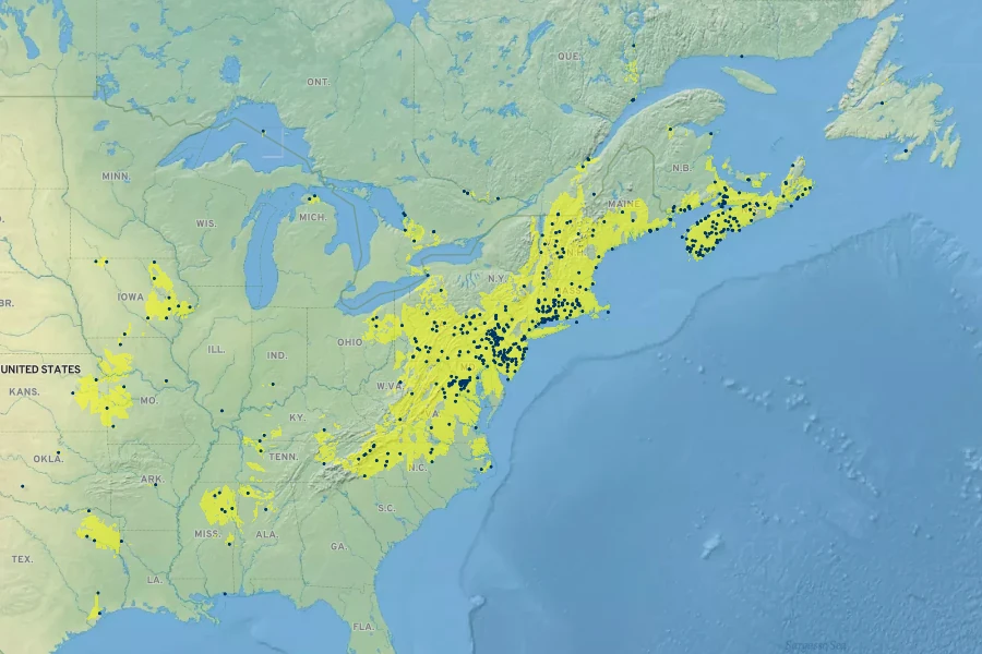 Eleocharis tenuis Native Range