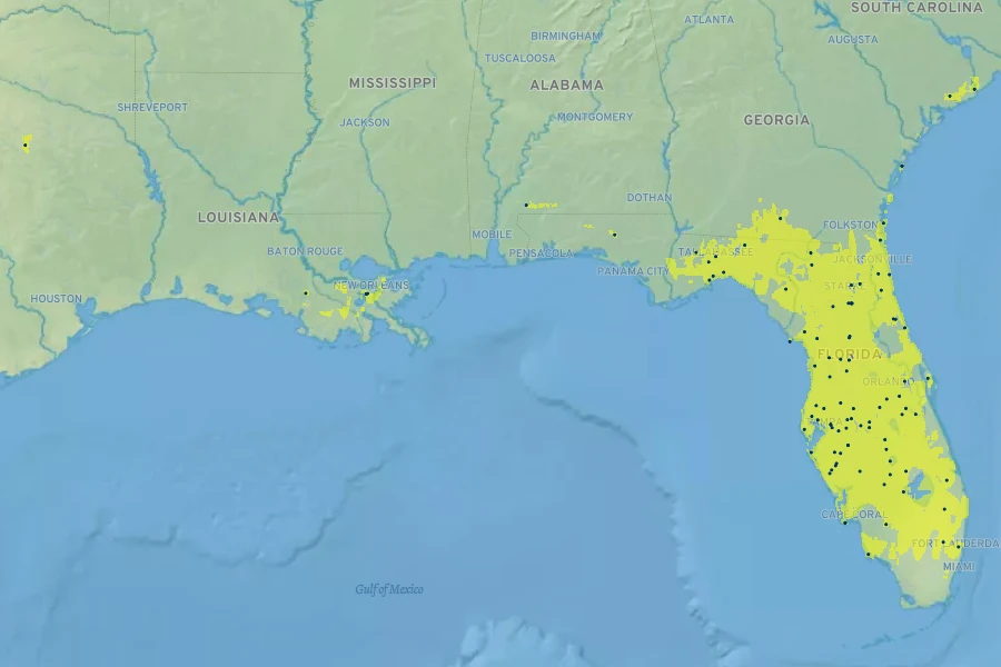 Eleocharis vivipara Native Range