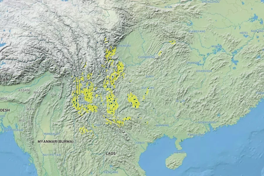 Elsholtzia rugulosa Native Range
