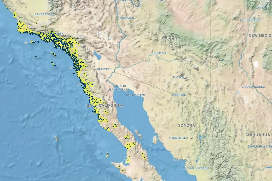 Encelia californica Native Range