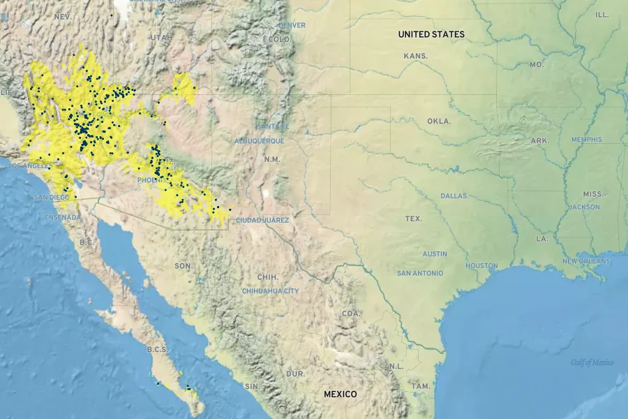 Encelia virginensis Native Range