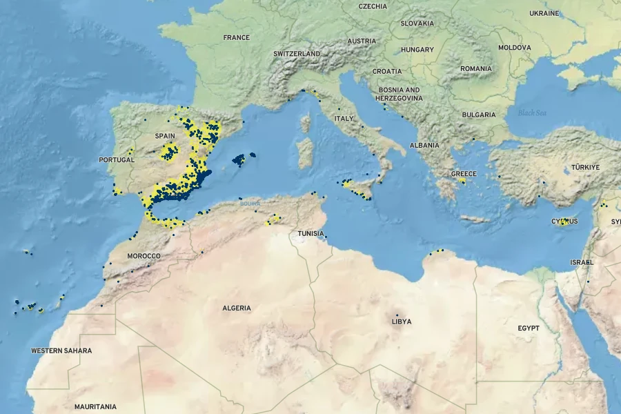 Ephedra fragilis Native Range