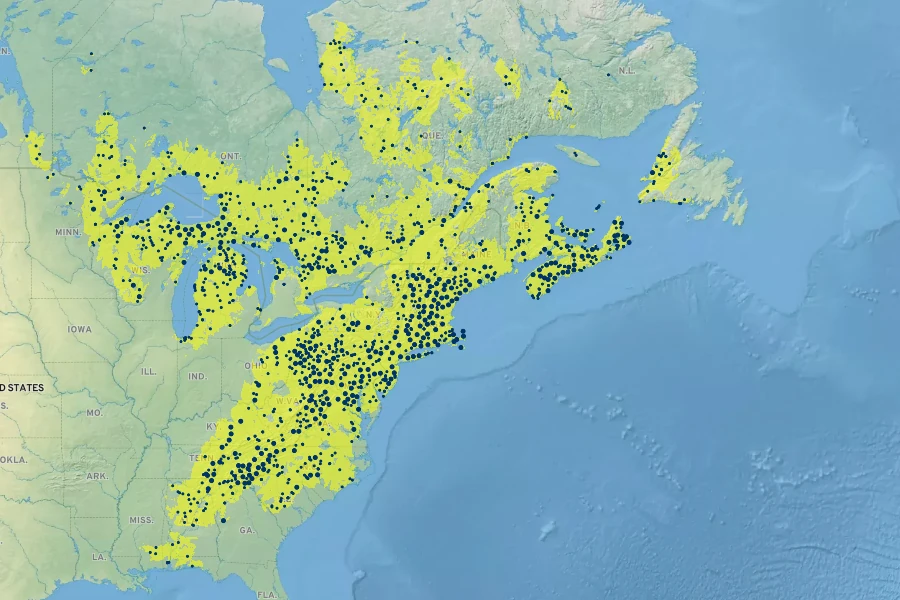 Epigaea repens Native Range