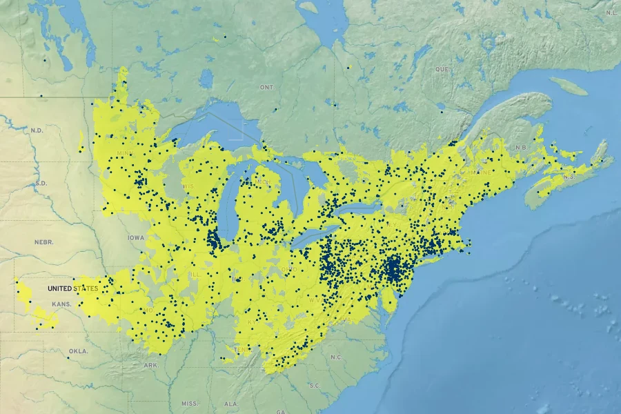 Epilobium coloratum Native Range