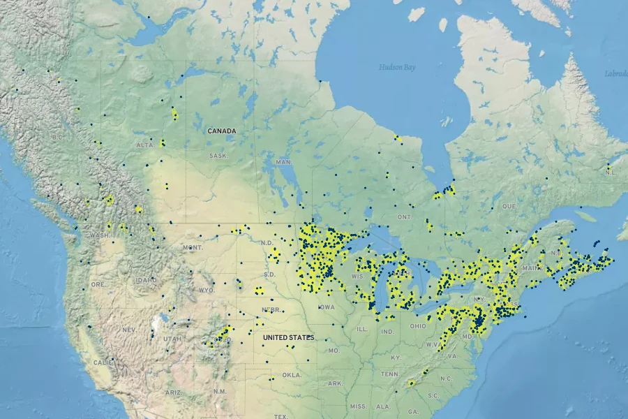 Epilobium leptophyllum Native Range