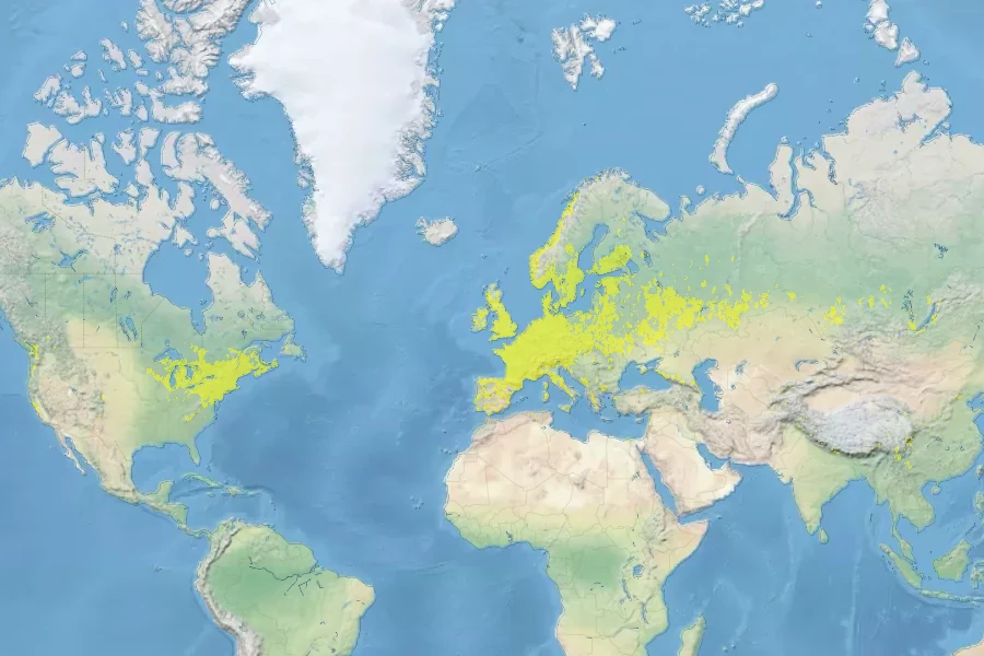 Epipactis helleborine Native Range