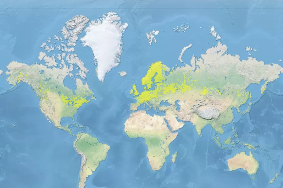 Equisetum sylvaticum Native Range