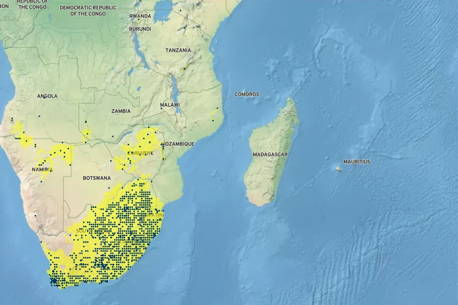 Eragrostis curvula Native Range