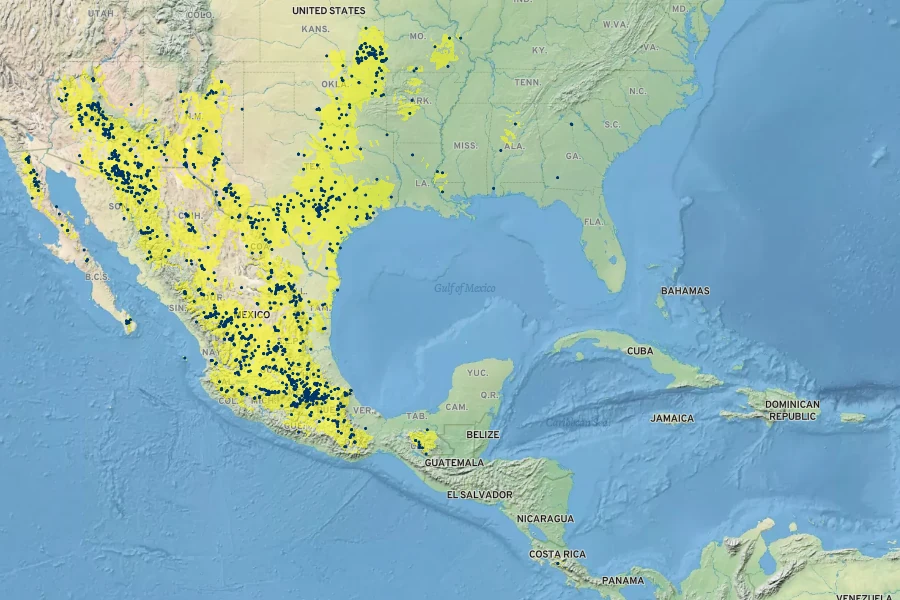 Eragrostis intermedia Native Range