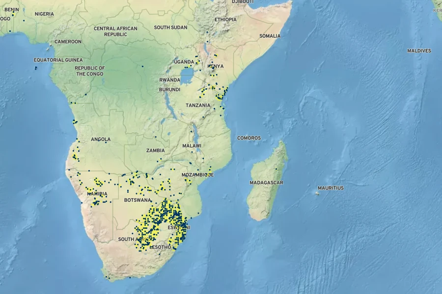 Eragrostis superba Native Range