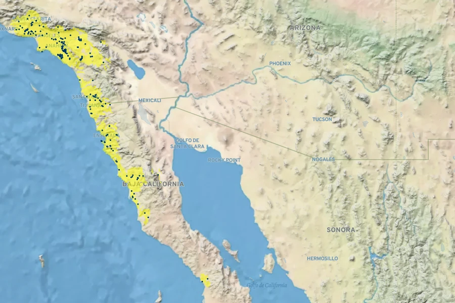 Ericameria palmeri Native Range