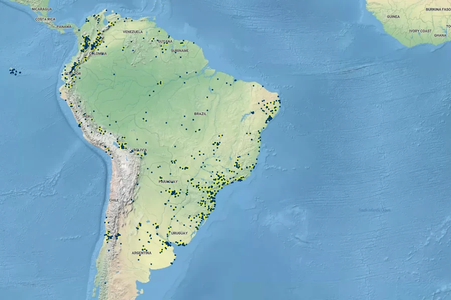 Erigeron bonariensis Native Range