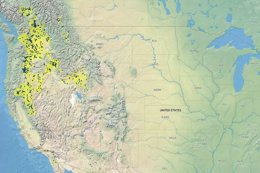 Erigeron filifolius Native Range
