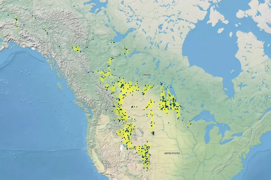 Erigeron glabellus Native Range