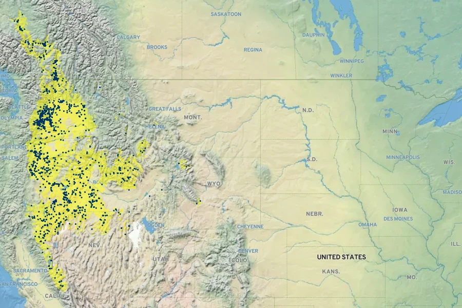 Erigeron linearis Native Range