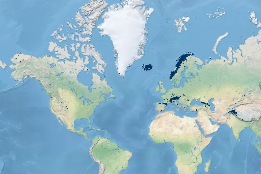 Erigeron uniflorus Native Range