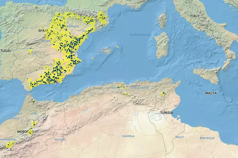 Erinacea anthyllis Native Range