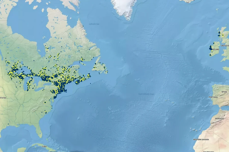 Eriocaulon aquaticum Native Range