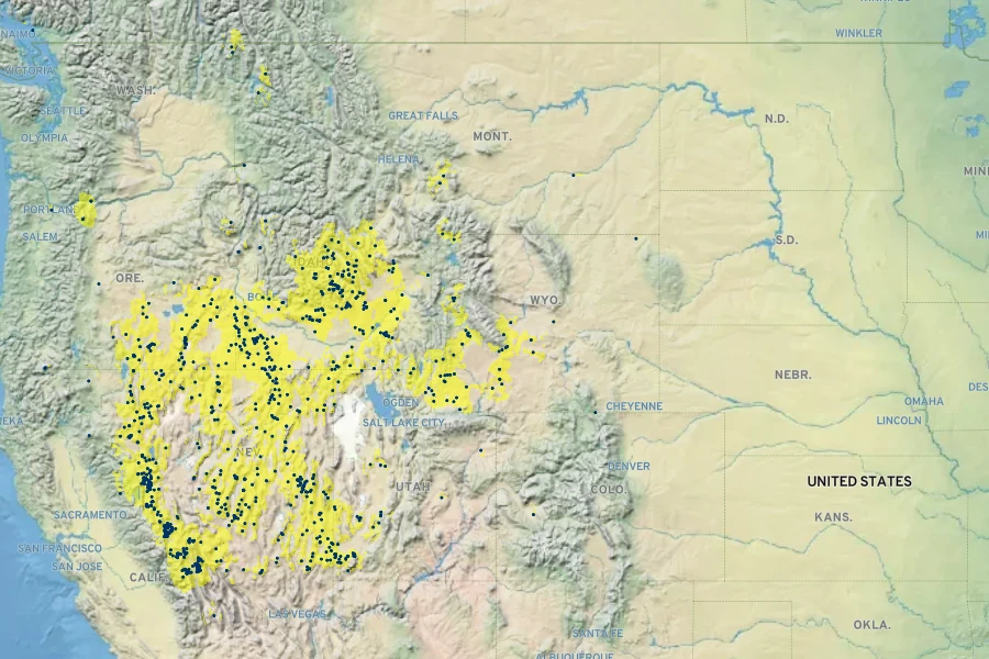 Eriogonum caespitosum Native Range