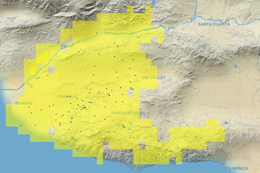Eriogonum crocatum Native Range