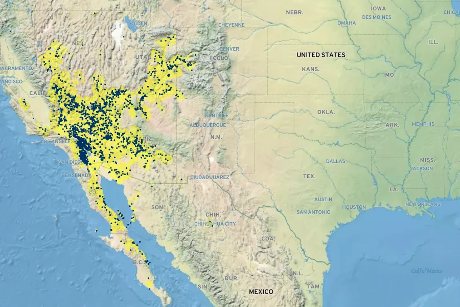 Eriogonum inflatum Native Range