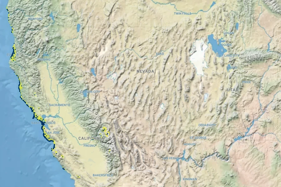 Eriogonum latifolium Native Range