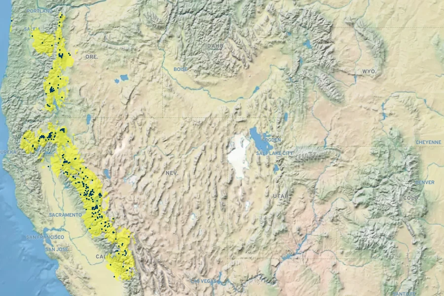 Eriogonum marifolium Native Range