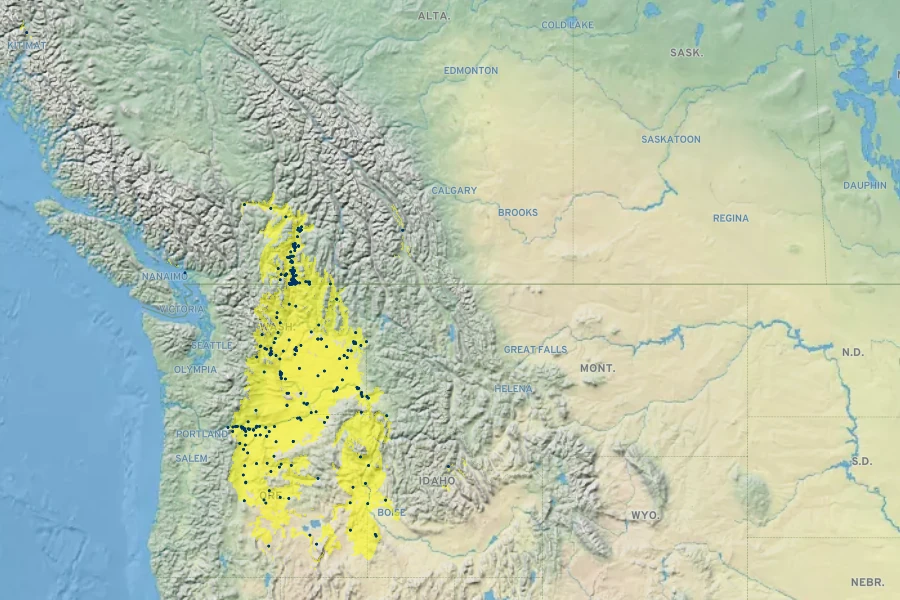 Eriogonum niveum Native Range
