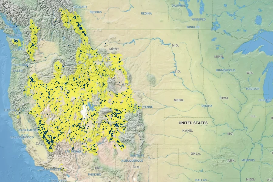Eriogonum ovalifolium Native Range