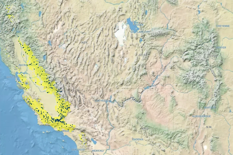 Eriogonum roseum Native Range