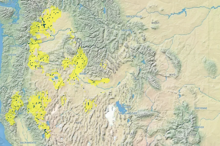 Eriogonum sphaerocephalum Native Range