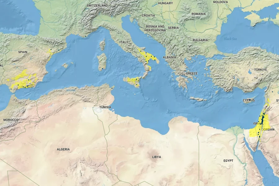 Eruca sativa Native Range