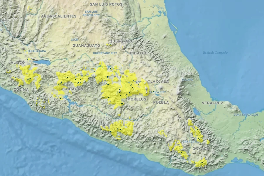 Eryngium alternatum Native Range