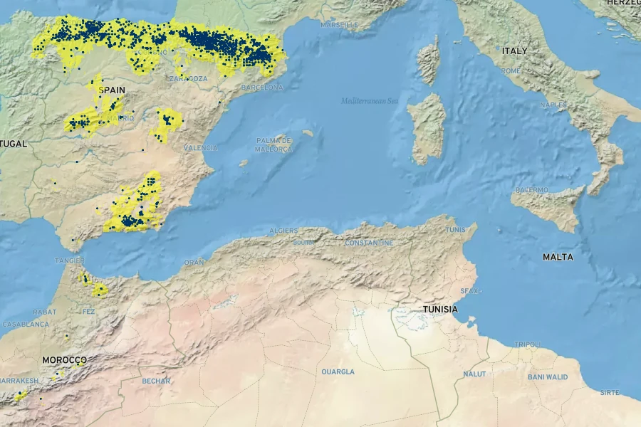 Eryngium bourgatii Native Range